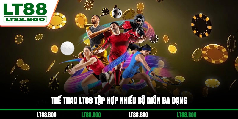 Thể Thao LT88 hợp tác với nhiều đơn vị uy tín